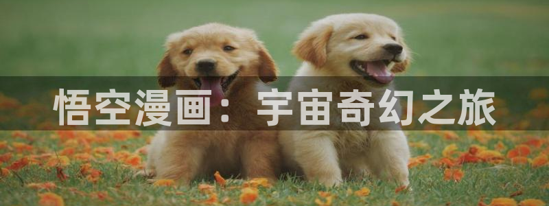 羞羞漫画网址下载：悟空漫画：宇宙奇幻之旅