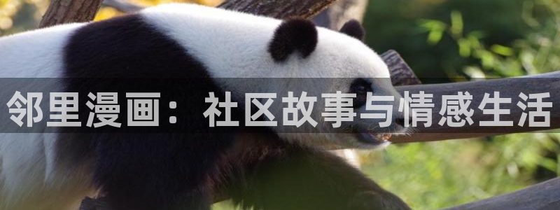 羞羞漫画画面：邻里漫画：社区故事与情感生活