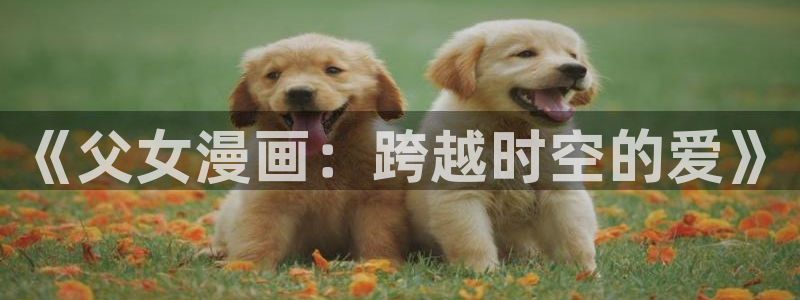 羞羞漫画成人入口18禁：《父女漫画：跨越时空的爱》